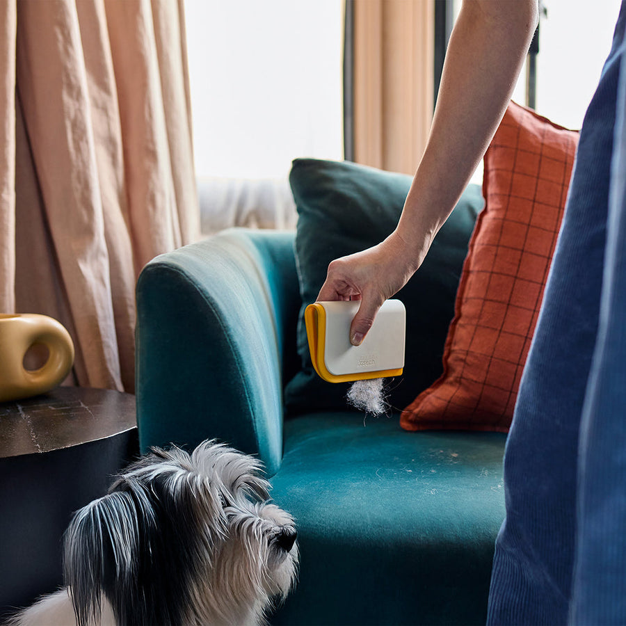 Le guide complet du nettoyage avec des animaux de compagnie