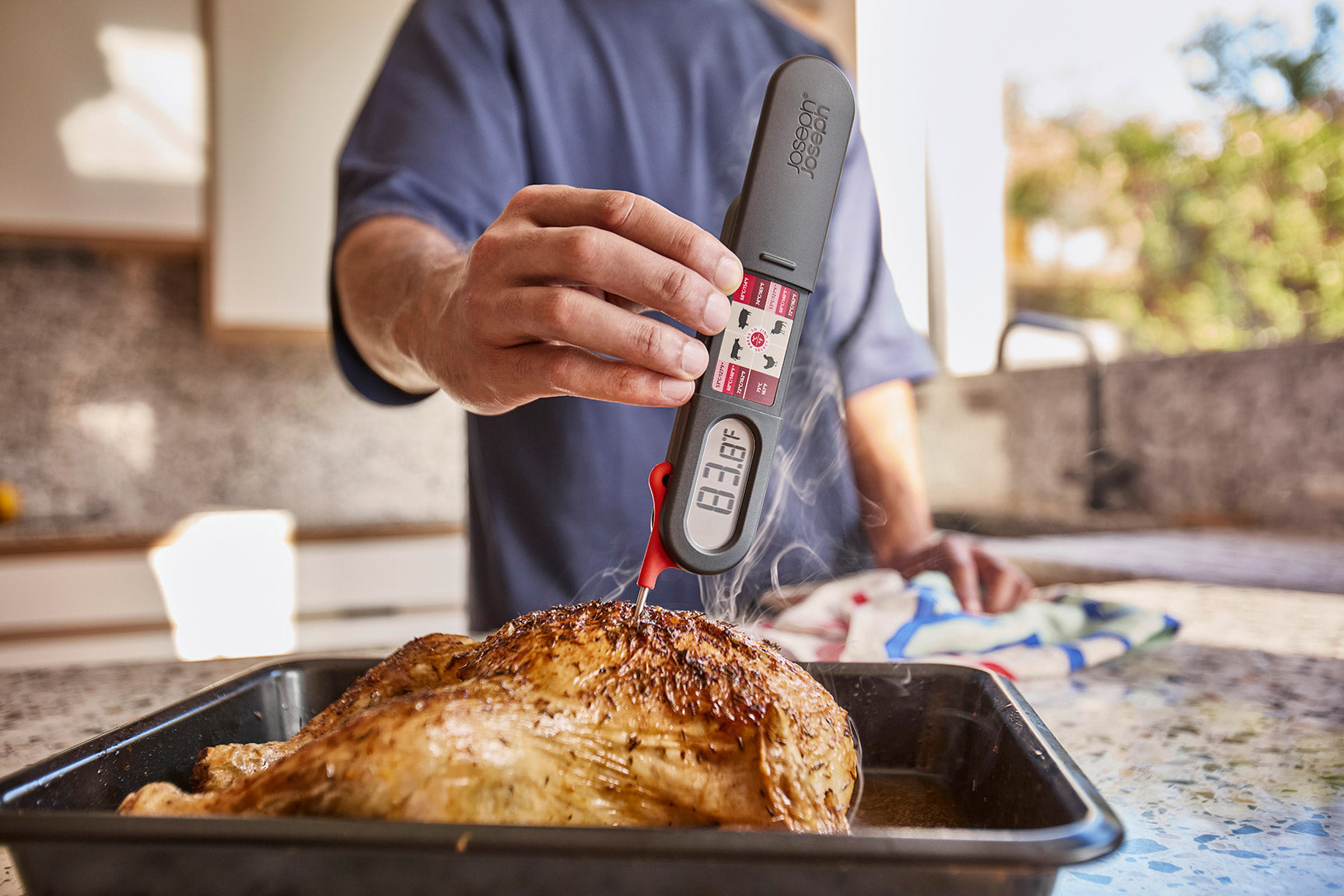 Thermomètre à Viande Numérique sans Fil ThermaPoint